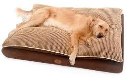 Plain Cotton Dog Beds, Shape : Rectangle, Square