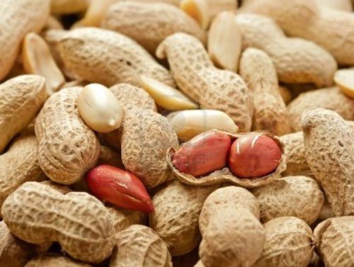 Common Shelled Peanuts, Certification : SGS