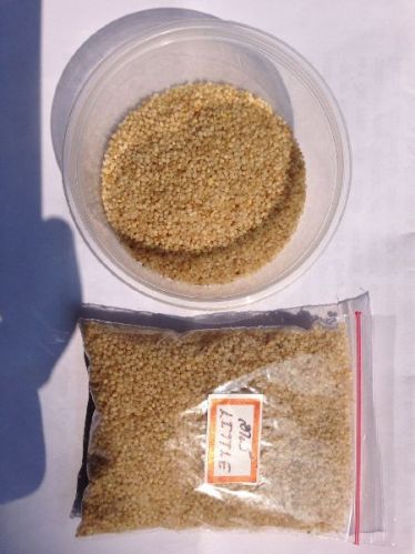 Natural Organic Little Millet