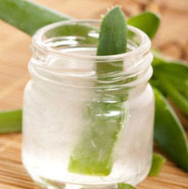 White Aloe Vera Pulp, For Parlour, Personal