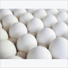 White Shell Eggs for Bakery Use, Human Consumption