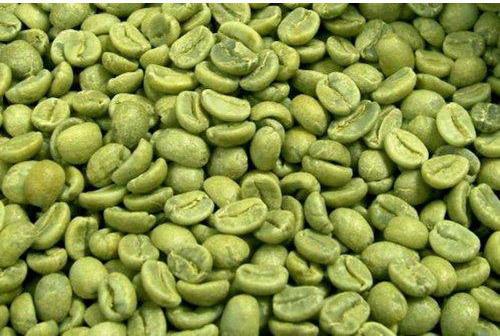 Organic Green Coffee Beans, Packaging Type : Packet, Jute Bag