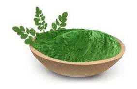 Common Moringa Leaf Powder, For Medicines Products, Packaging Type : Plastic Packet, Bulk