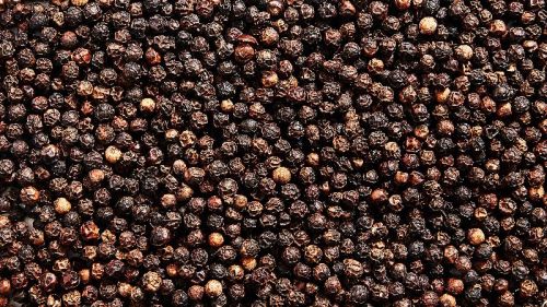 Black Pepper Seeds