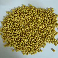 Organic Soybean Seeds, For Human Consumption, Style : Natural