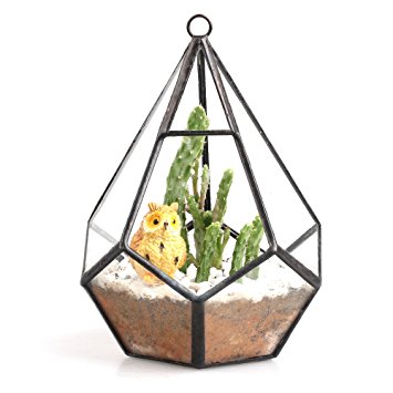 Non Polished BRASS Glass Terrarium, For Decorating Flower, Plantation, Feature : Decorative, Fine Finish