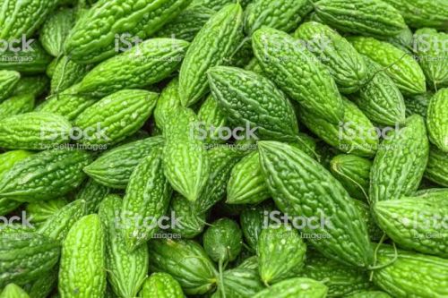 Fresh Bitter Gourd For Cooking