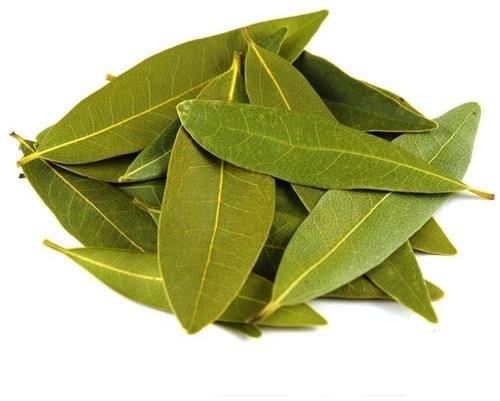 Raja Hindustani Bay Leaf, Form : Leaves