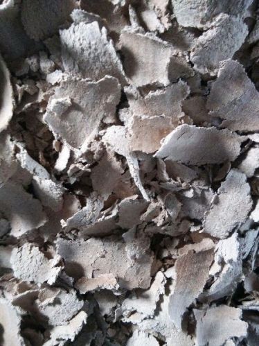 Spicewell Coconut Oil Cake