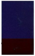 Gafast Violet 1010 Pigment