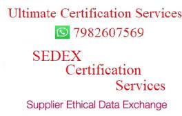 SEDEX Audit