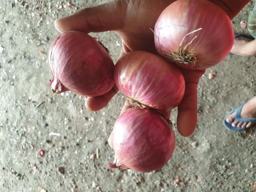 Onion Bags, Color : Red