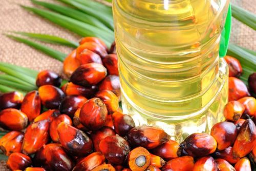 Common Palm Oil, Packaging Type : Can (Tinned), Container, Drum, Glass Bottle, Mason Jar, PET Bottle