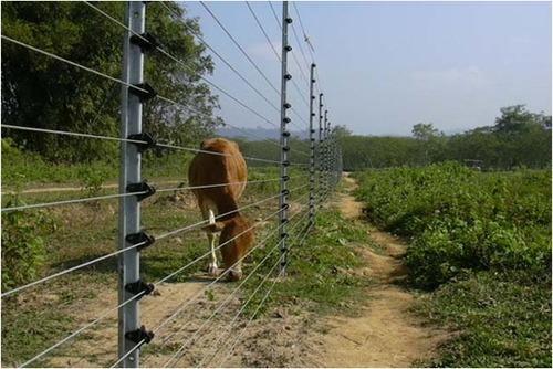 Solar Fencing System