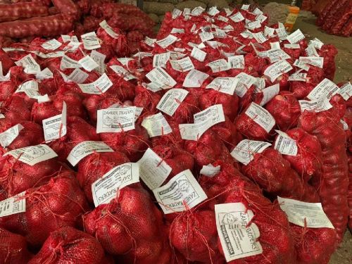 Godown Mesh Packed Onion, Shelf Life : 15days