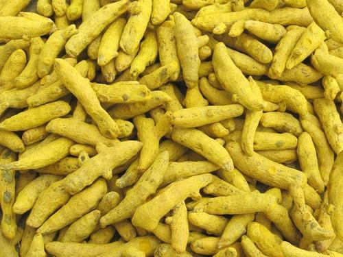 Natural Turmeric Finger, Color : Yellow