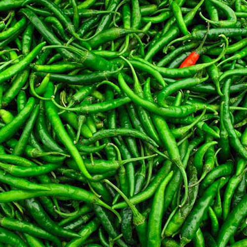 Fresh Green Chilly