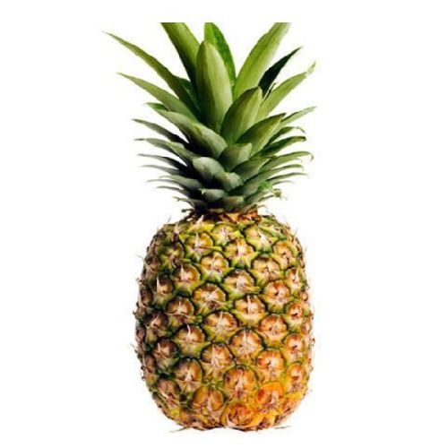 Fresh Pineapple