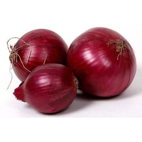 Organic Fresh Red Onion, Packaging Size : 100-500 Kg