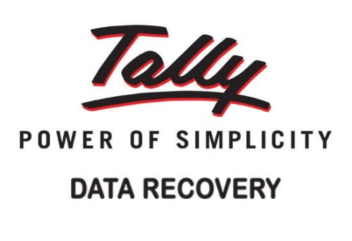 Tally Data Recovery Services