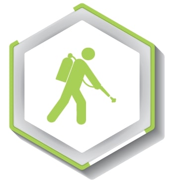 Pest Management Services