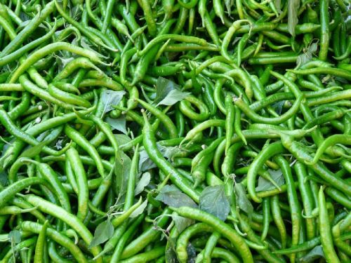 Fresh green chilli, Taste : Spicy