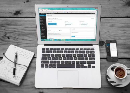 Wordpress Development Services