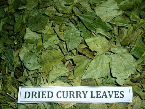 Organic Dried Curry Leaf, Packaging Type : Plastic Box