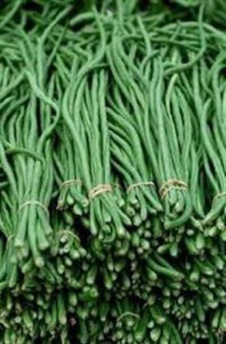 Fresh Long Beans, Packaging Size : 50-500kg