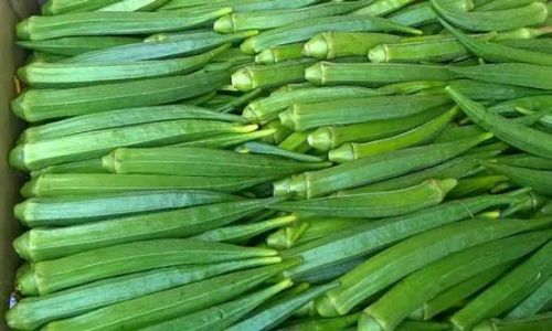 Organic Fresh Okra