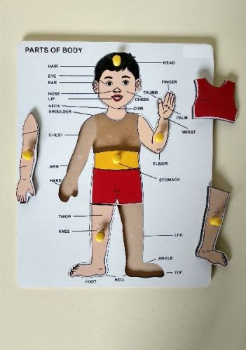 Wooden Parts Of Body Puzzle, For Play School, Age Group : 2-4 Yrs