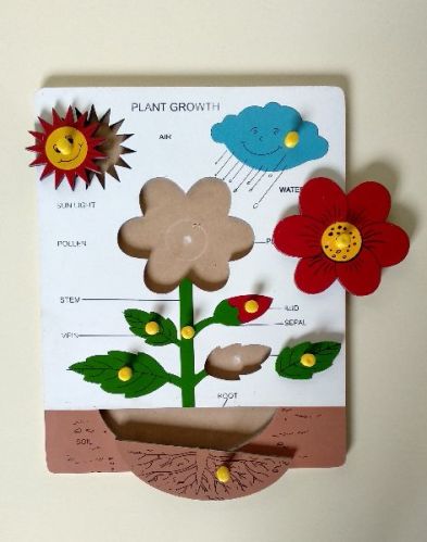 Wooden Plant Of Growth Puzzle, For Play School, Age Group : 2-4 Yrs