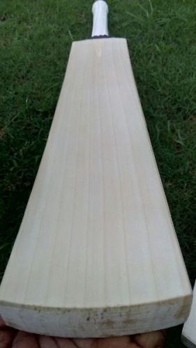 Natural Color English Willow Cricket Bat, Bat Length : 2.5-3feet