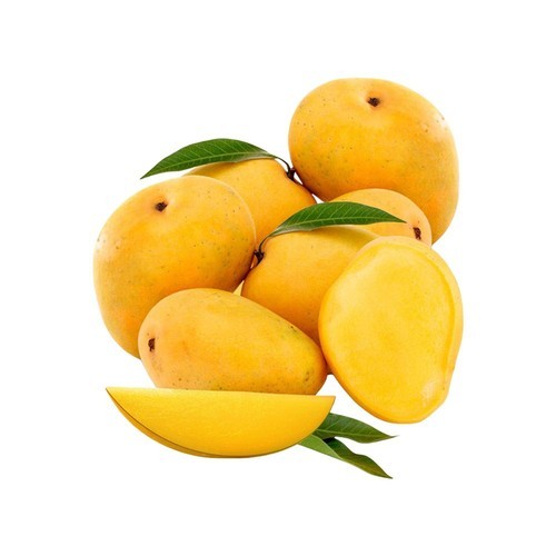 Organic Fresh Alphonso Mango, Feature : Non Pesticide