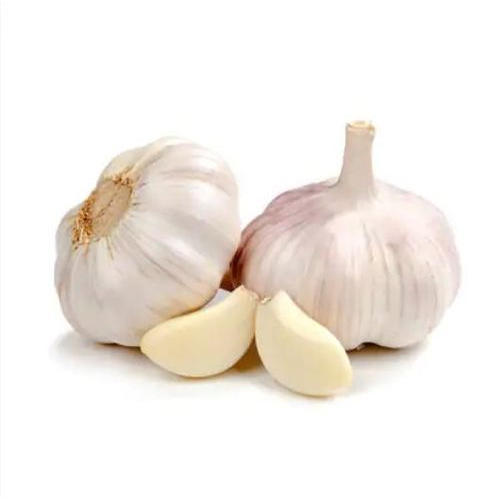 Organic Fresh Garlic, Packaging Type : Net Bags, Plastic Bags