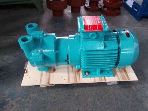 2bvc256 Series Liquid Ring Vacuum Pumps (2BVC)