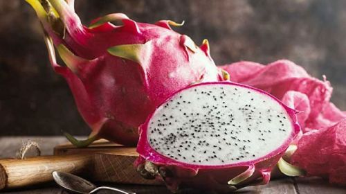 Common Dragon Fruit, Packaging Type : Jute Bag, Net Bag