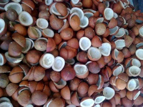 Oval Dry Coconut, For Cosmetics, Pooja, Form : Solid