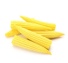 Organic Fresh Baby Corn, For Bakery, Cooking, Pizza, Packaging Size : 1kg, 500gm, 5kg