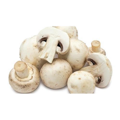 Fresh Mushroom, Color : White