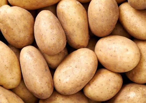 Organic Fresh Potato, Shelf Life : 6 Months