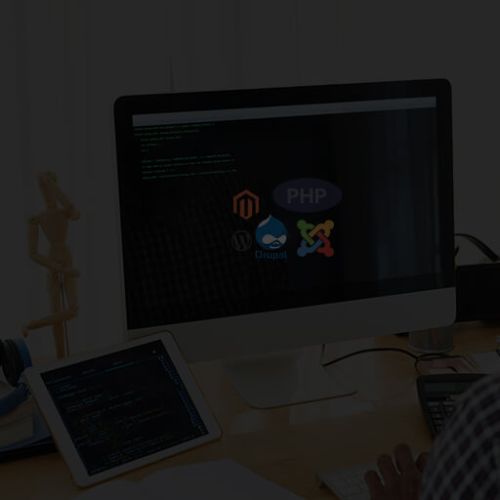 CMS Web Development Services