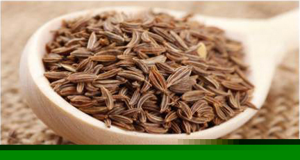 Cumin Seeds, Packaging Type : 25/50kg PP Bags