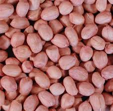 Java peanuts, Shelf Life : 12 Months