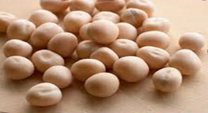 Yellow Peas, Packaging Type : 25/30/40/50 Kg PP Bags