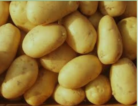 Common Potato, Packaging Size : 10-20kg, 20-30kg, 30-40kg, 40-50kg