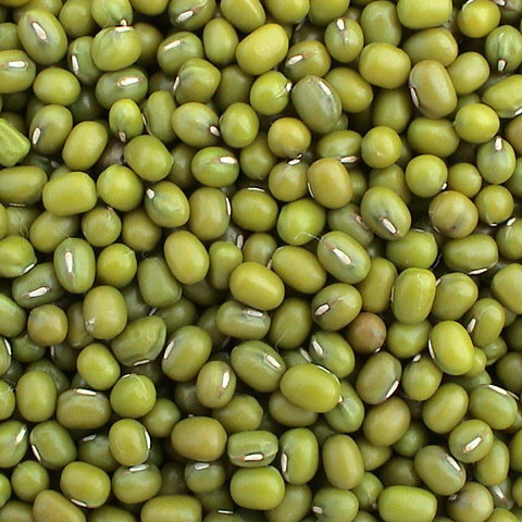 Organic green mung beans