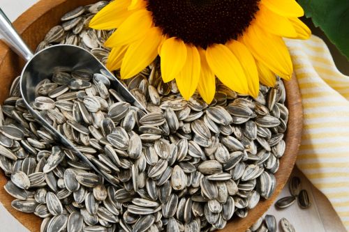 Common Black Sunflower Seeds