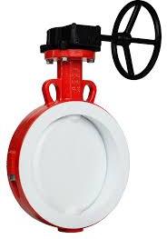 PTFE Butterfly Valve