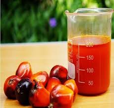 Common Palm Kernel Oil, For Cooking, Medical